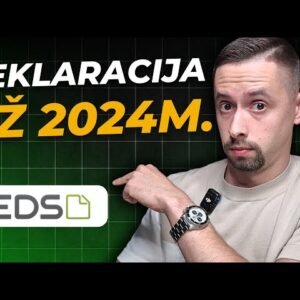 Investicijų Deklaracija Už 2024 Metus