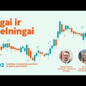 Ilgai ir pelningai #3: Švediškos investavimo pamokos. Ko galime pasimokyti?
