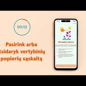 Kaip pradėti naudoti Mini investicijas?