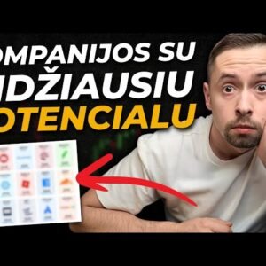 Kompanijos su MILŽINIŠKU augimo potencialu (Privalai peržiūrėti)