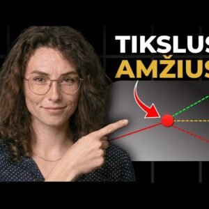 Kodėl Išeiti į Pensiją 65-erių yra Didžiausia Klaida (Mano Planas)