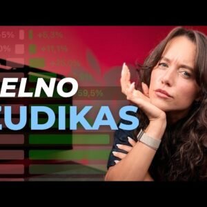 Investicijos krito -50%, kodel neuzteks +50% atsistatyti?