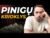 Pinigų Krioklio Strategija: Pasyvios Pajamos Su 17% Kasdiene Grąža
